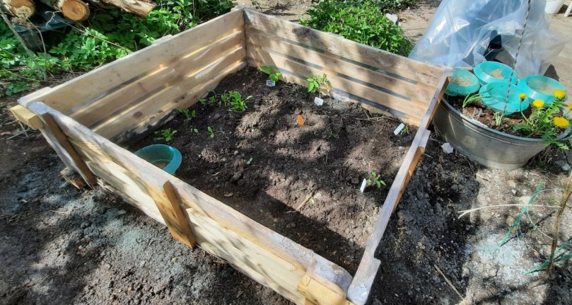 Upcycling-Frühbeet aus Paletten und Plastikfolie
