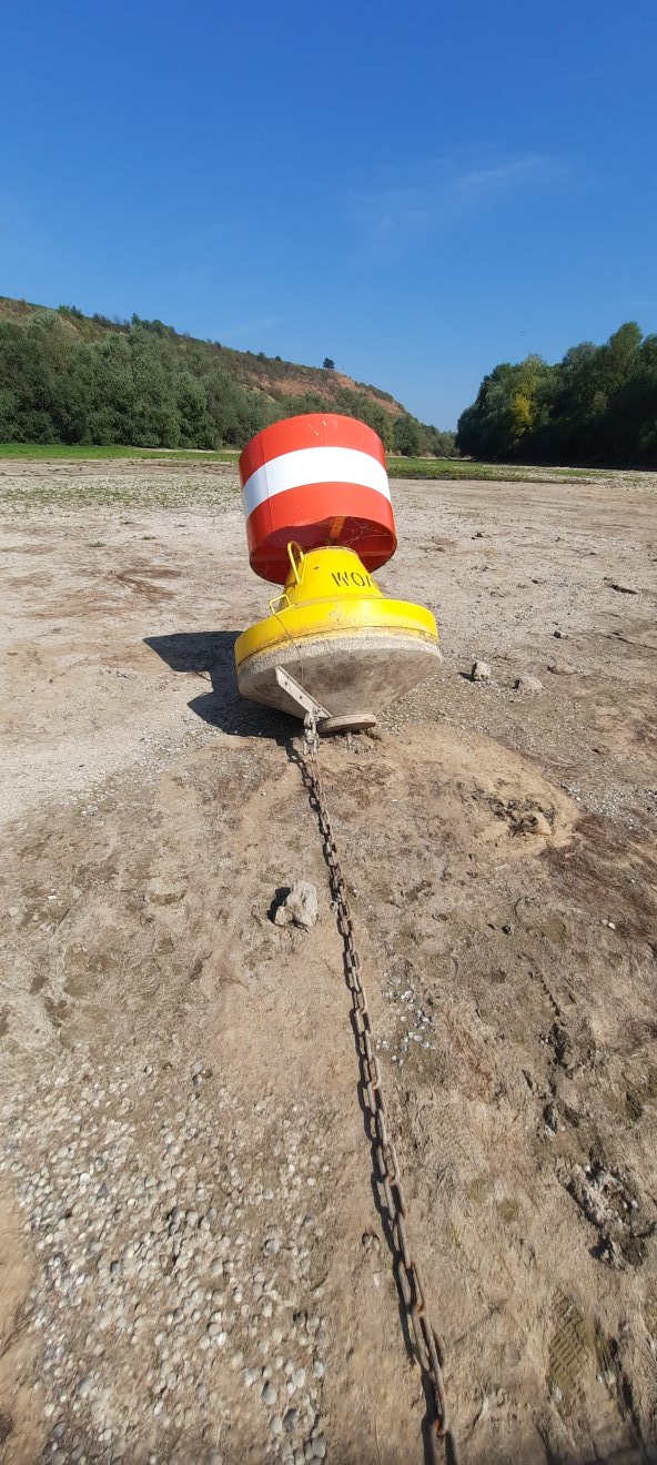 Boje in Rhein-Seitenarm