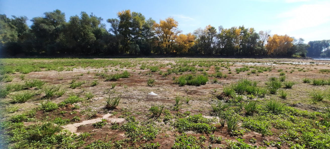 Blick auf Kissenwörth