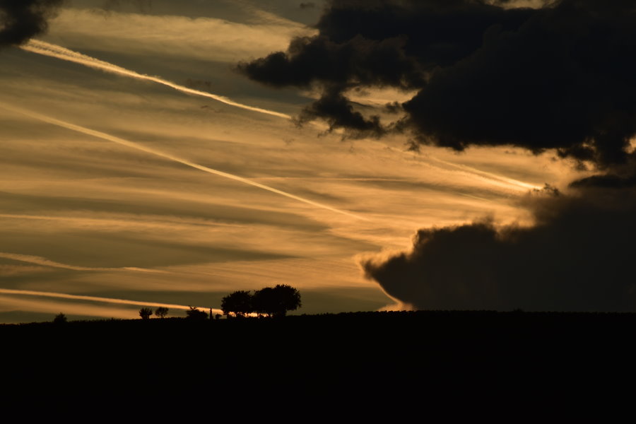 Wolken und Bäume