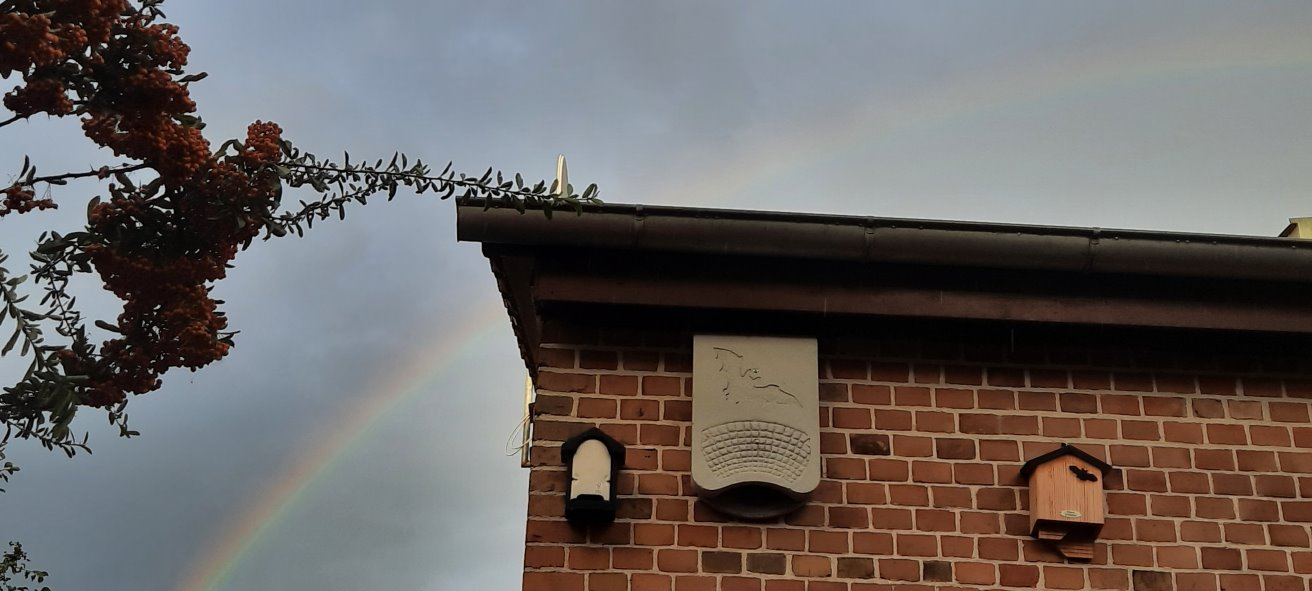 Regenbogen über Fledermausquartier