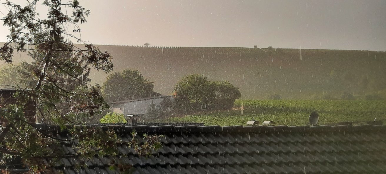 Regen