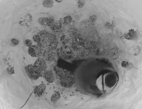 2-2-810804099-e1674337762315