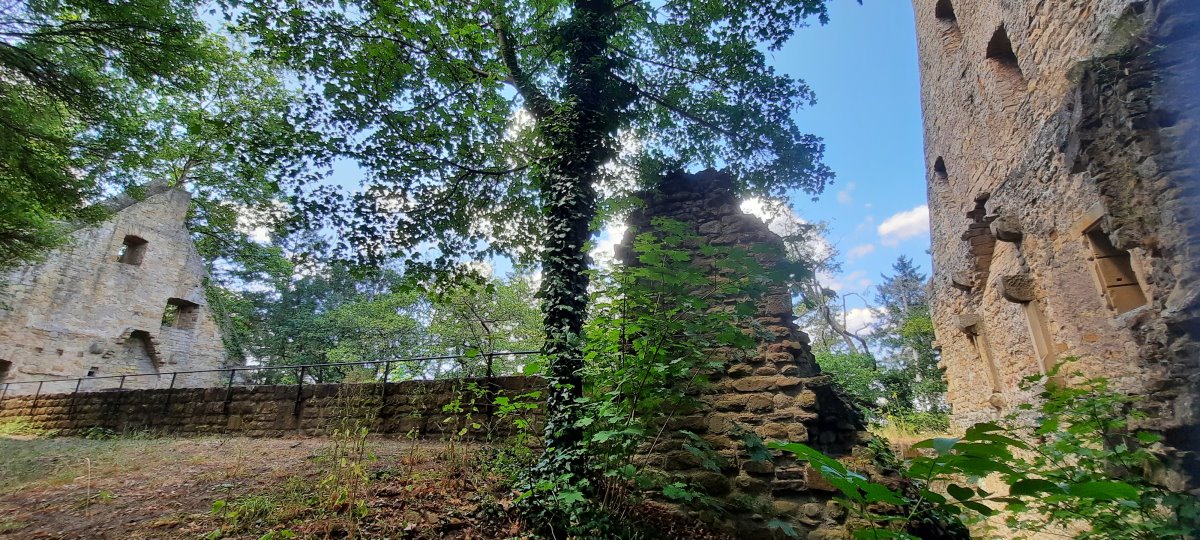 Klosterruine Disibodenberg