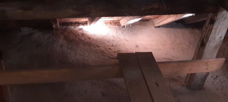 Fledermauskot auf Brettern