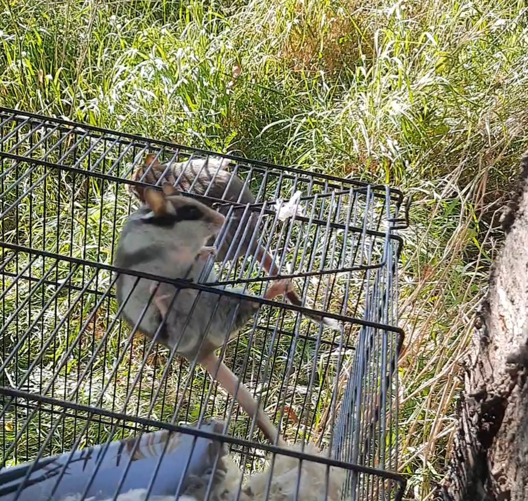 screenshot_20230926_190457_gallery