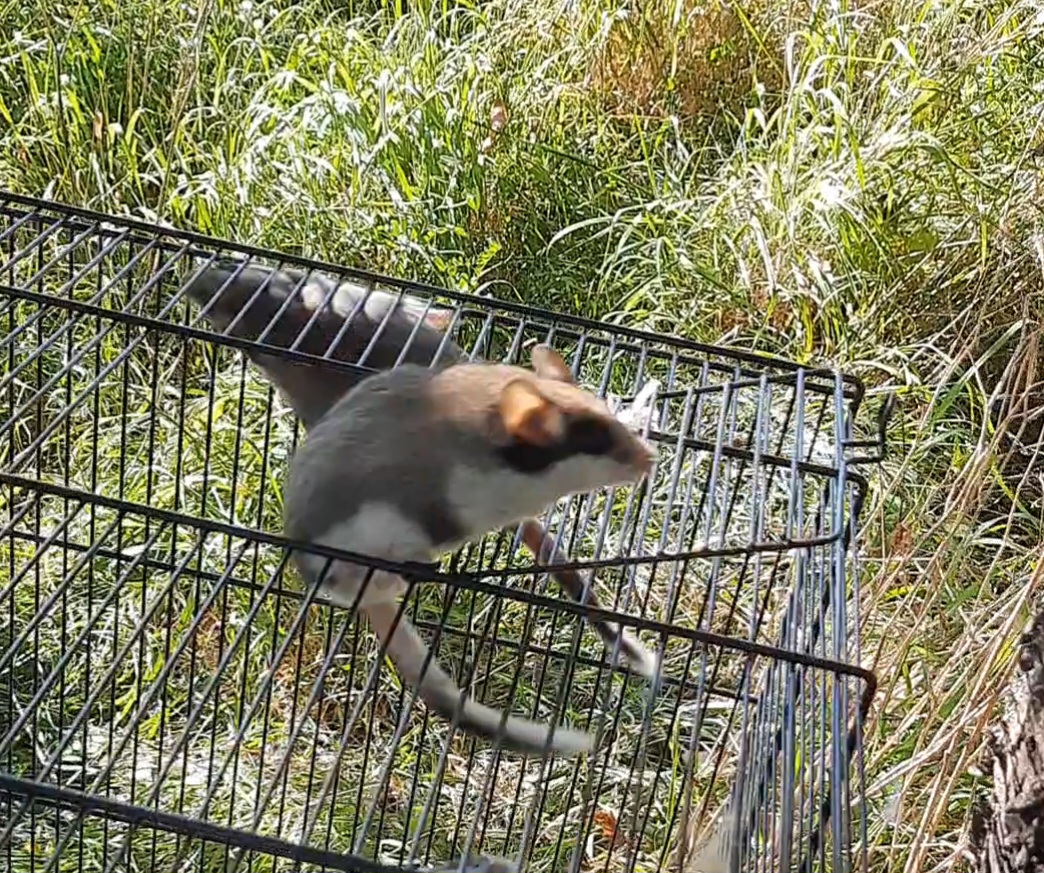 screenshot_20230926_190503_gallery