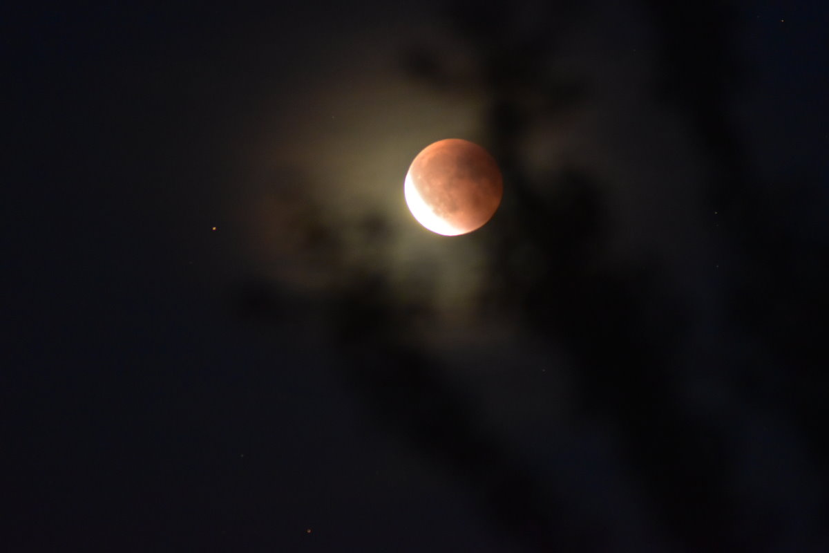 Mondfinsternis bei Blutmond, zwischen Ästen