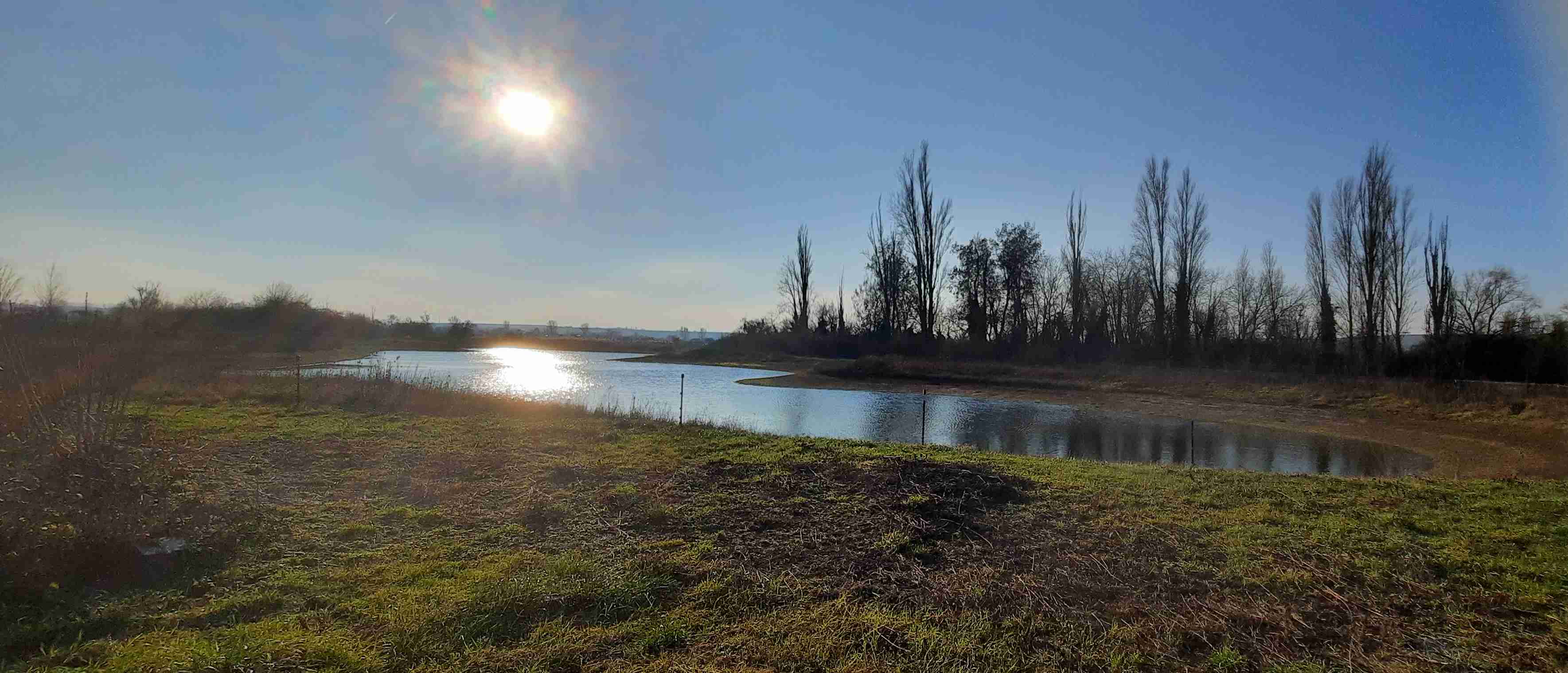 Blick auf einen Weiher im Naturschutzgebiet am Laubenheimer Ried