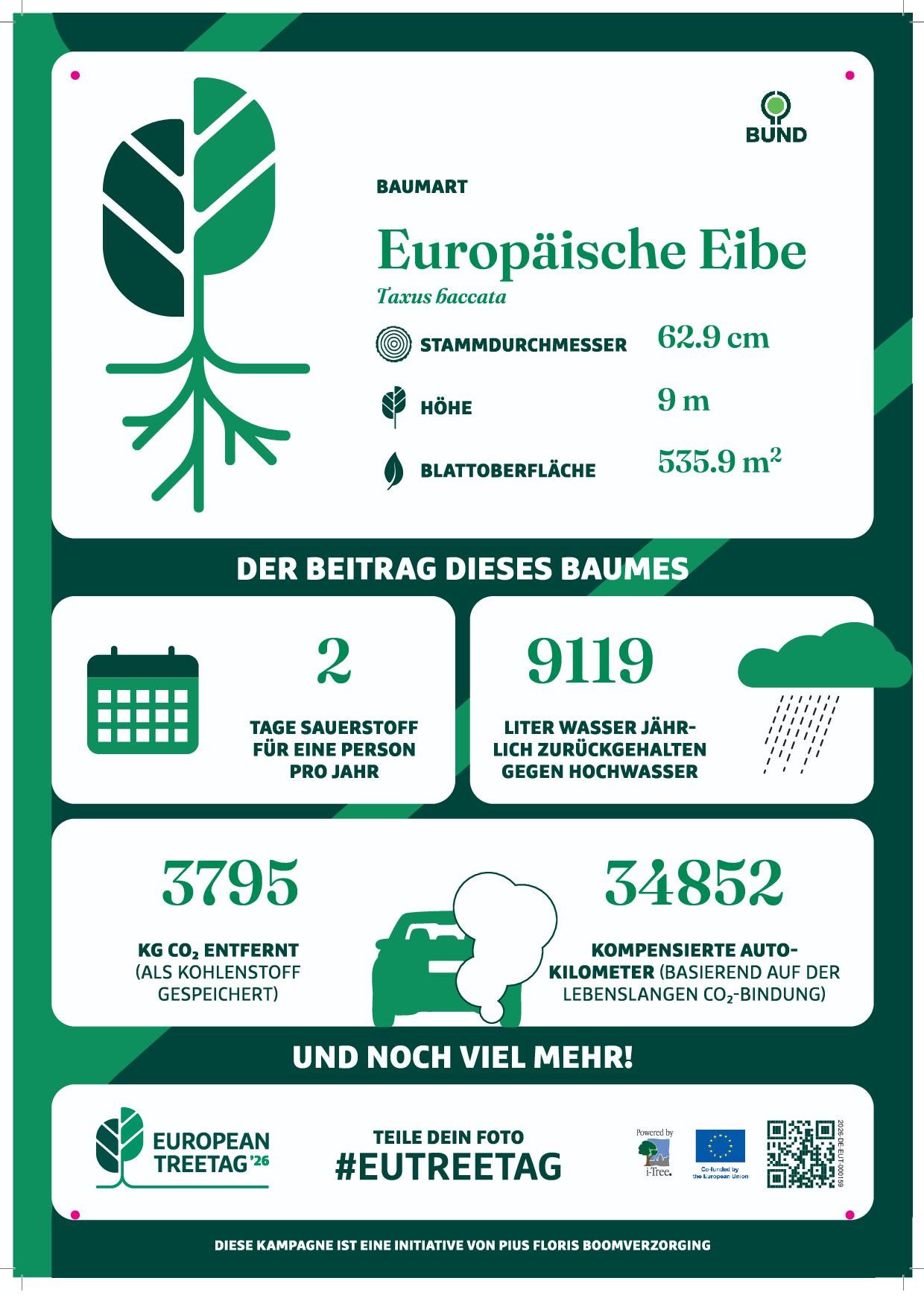 Treetag - Ökosystemdienstleistungen der Eibe im Gemeindepark