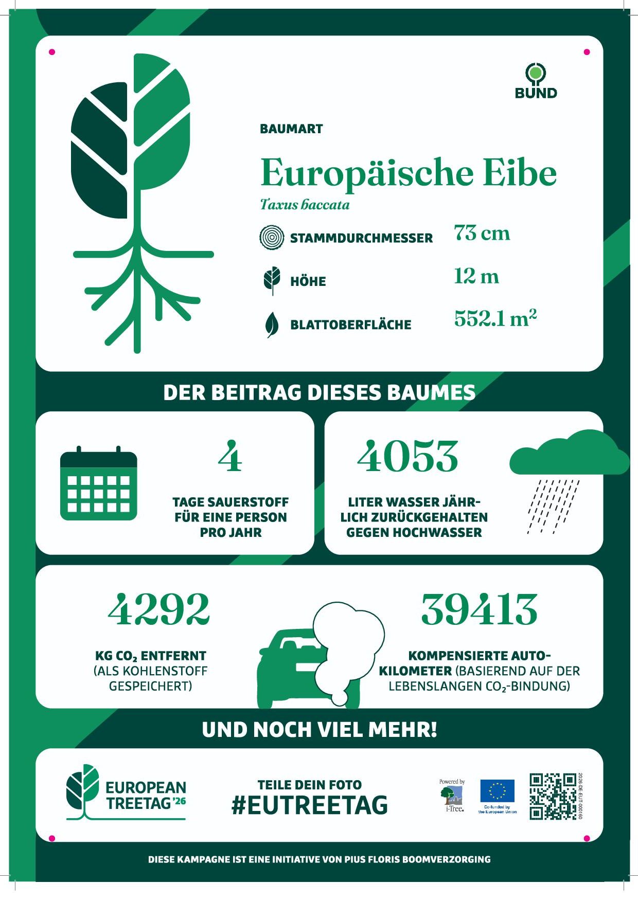 Treetag - Ökosystemdienstleistung Eibe "Im Walter"